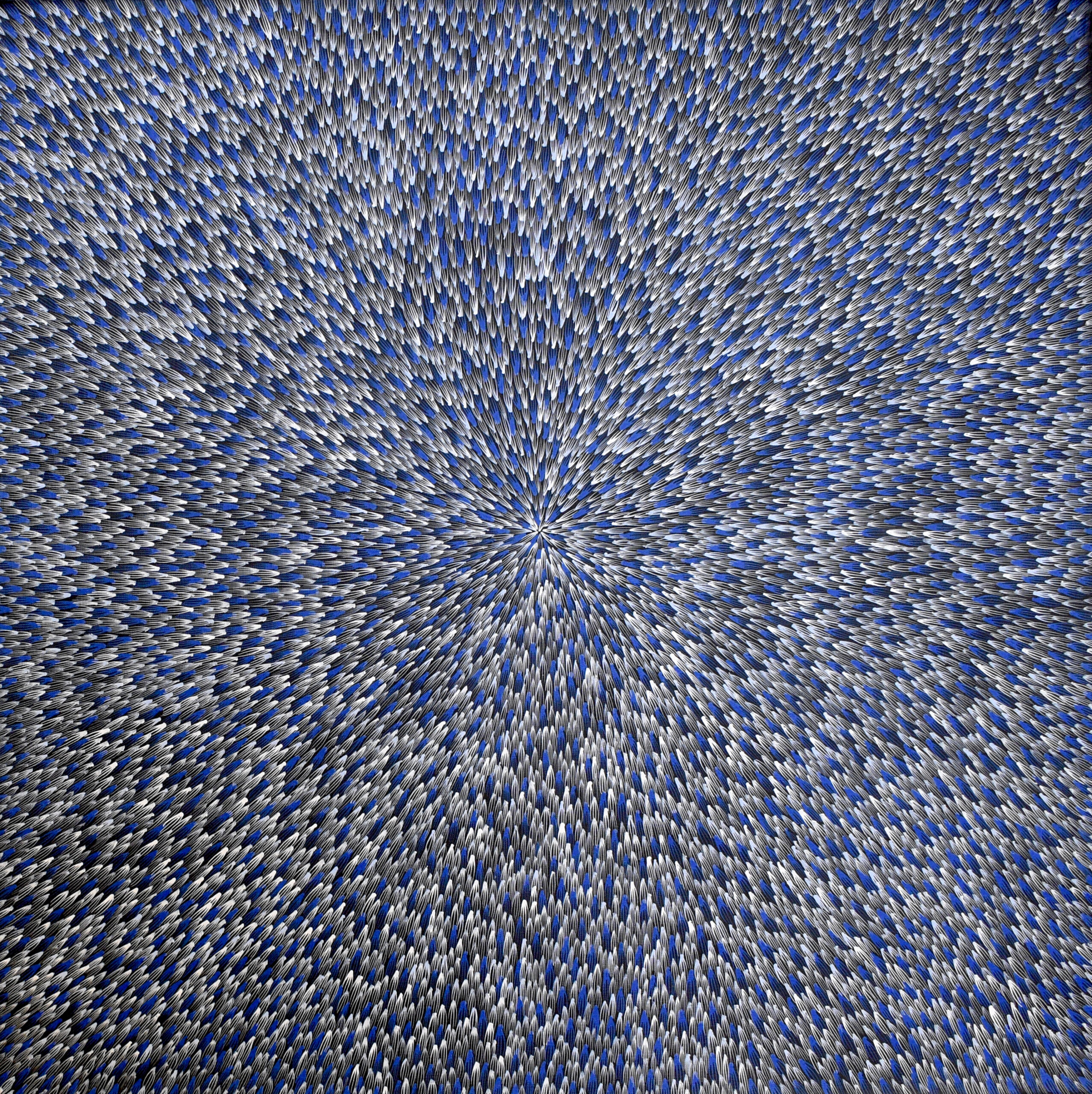 Image de l'oeuvre : Bush Leaves – Optic,  Abie Loy Kemarre, collection « Klimatik »