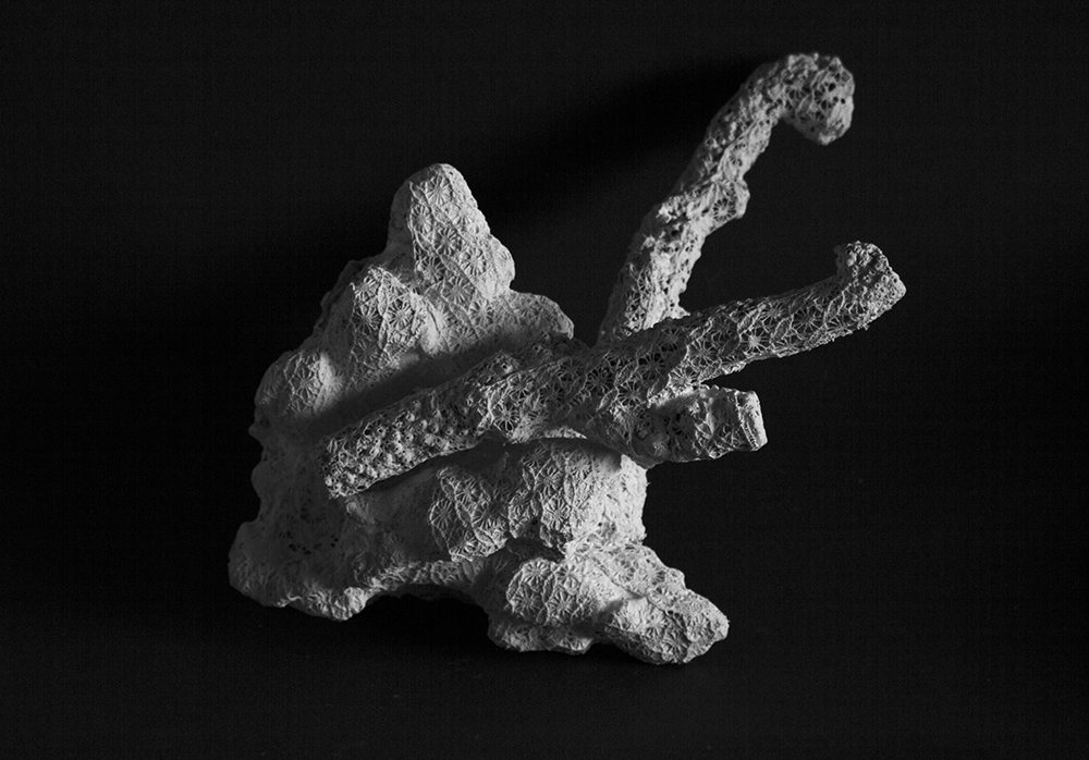 Image de l'oeuvre : Corail artefact Variation 1, Jérémy Gobé, collection « Klimatik »